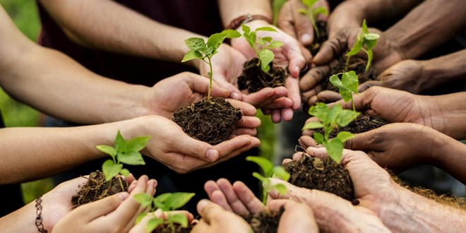 11 Kasm'da 81 ilde 550 milyona yakn fidan toprakla bulaacak - Son Dakika Haber