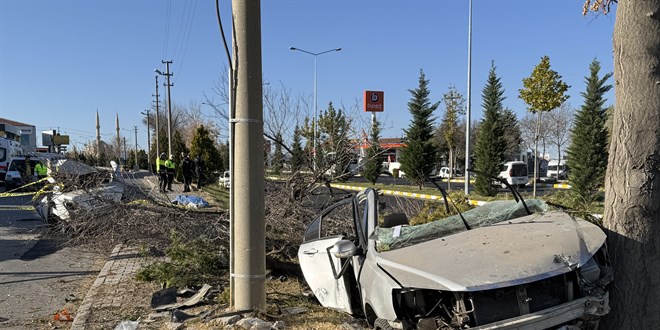 Nevehir'de aaca arparak ikiye blnen arataki 2 ocuk ld