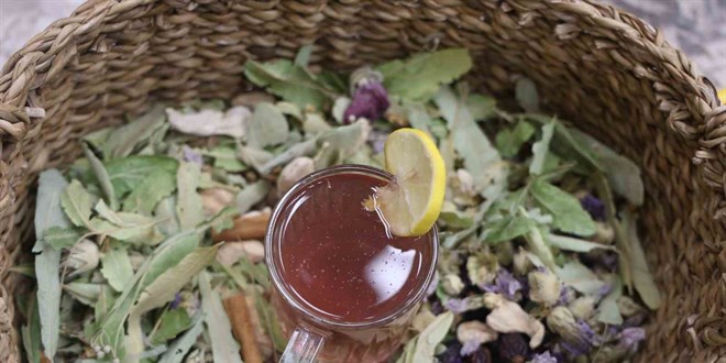 Uzman uyard: Bitki aylarn dozunda kullann - Son Dakika Haber