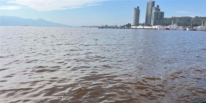 zmir Krfezi'nde kt koku sryor: Denizin rengi kahverengiye dnd