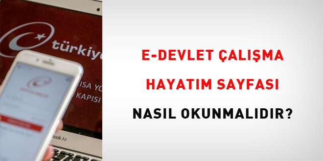 e-devlet alma hayatm sayfas nasl okunmaldr?