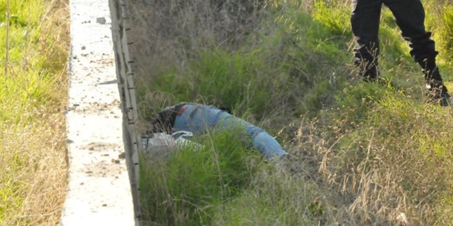 Aydn'da cezaevinden izinli kan ahs silahla bandan vurulmu halde bulundu - Son Dakika Haber