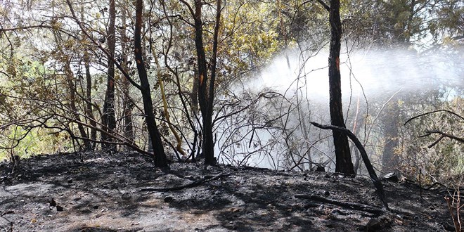 Hatay'da kan orman yangn kontrol altna alnd