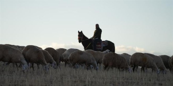 stanbul stresini brakp kyde huzuru buldu - Son Dakika Haber