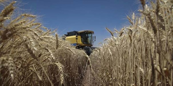 Tohumculuk Sisteminin Ba Halkas 'Orijinal Tohum' Korunmal!