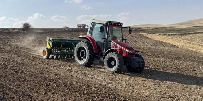 Yozgat'ta kuraklk nedeniyle buday ekimi kasma sarkt