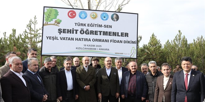 ehit retmenler Yeil Vatan Hatra Orman Hayat Buldu: lk Fidanlar Toprakla Bulutu! - Son Dakika Haber