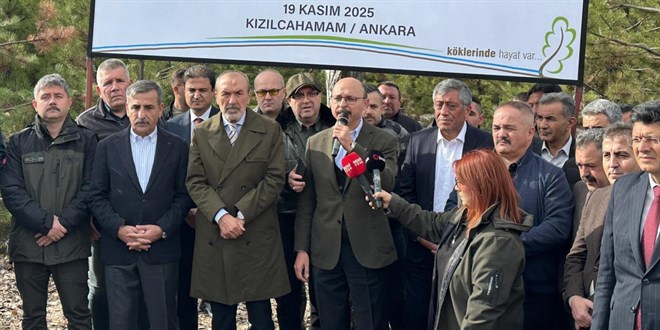 Trk Eitim-Sen ehit retmenlerin ansna hatra ormanna fidan dikti - Son Dakika Haber