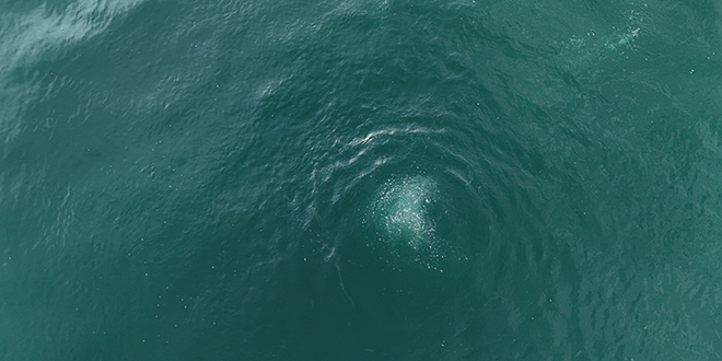 Sapanca Gl kaynyor mu? Havadan ve su altndan grntlendi