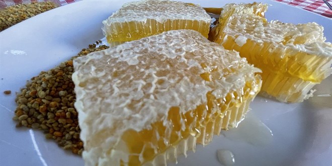 Trkiye'nin AB tescilli corafi iaret says 43'e ykseldi