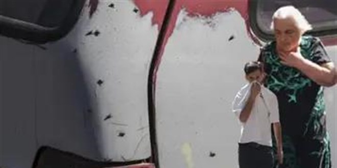 zmir'de karasinek istilas... Nedeni belli oldu