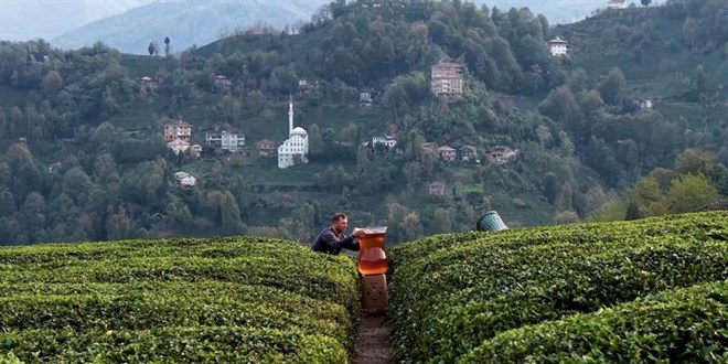 zleyenler yapay zeka sand: Dev ay bardayla yaplan ekim olay oldu! - Son Dakika Haber