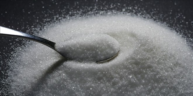 ekerde 2026-2027 dnemi kotalar belli oldu - Son Dakika Haber