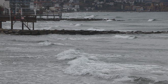 Tekirda'da lodos engeli: Balklar denize alamad - Son Dakika Haber