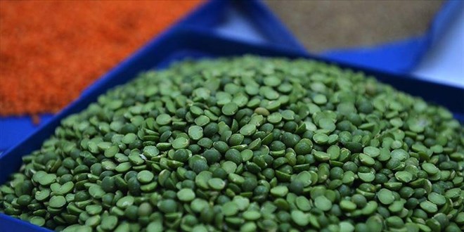 Yeil mercimek ve yulaf ithalatnda gmrk vergileri indirildi