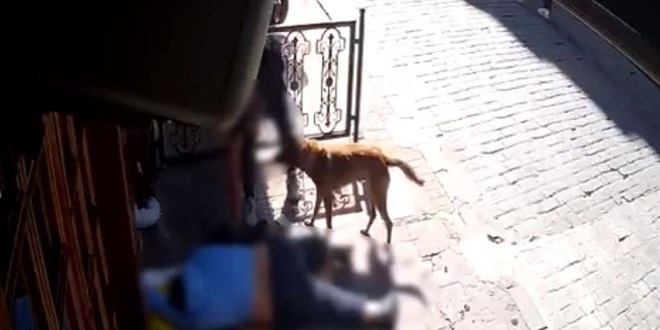 Sara nbeti sonras baylan adamn telefonunu aldlar