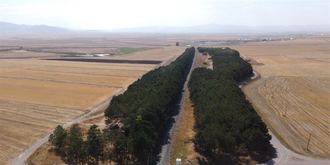 Kars'ta bozkrn ortasndaki vaha havadan grntlendi - Son Dakika Haber