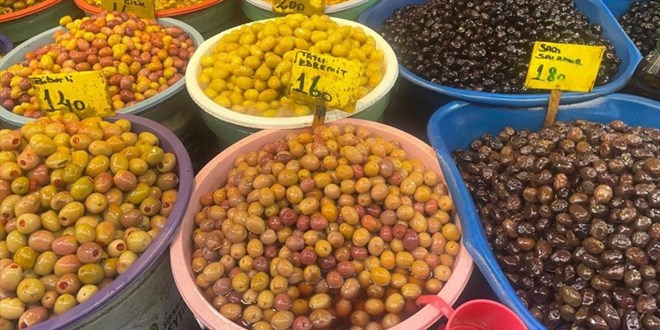 Zeytin alrken nelere dikkat etmeli? - Son Dakika Haber