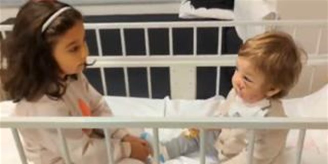 Pitbull saldrsnn ardndan ilk kavuma: ki karde gnler sonra bulutu