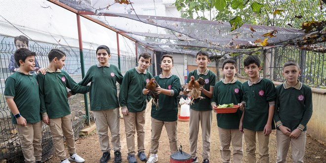 renciler okul bahesinde sebze yetitirip tavuk besliyor