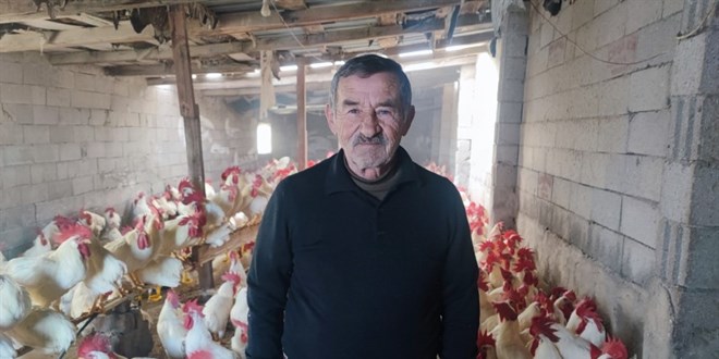 Hobiydi, i oldu, 3 ylda 850 etlik horoz yetitirdi