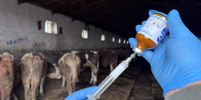 Mula'da 'ap hastal' nedeniyle 11 mahalle karantinaya alnd