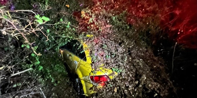 Mersin'de seyir halindeki taksinin zerine aa devrildi - Son Dakika Haber