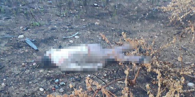 Kaza yapan ara otoyolda, srcs 30 metrelik kprnn altnda l bulundu - Son Dakika Haber