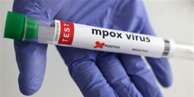 Maymun iei virsnn yeni bir tr tespit edildi - Son Dakika Haber