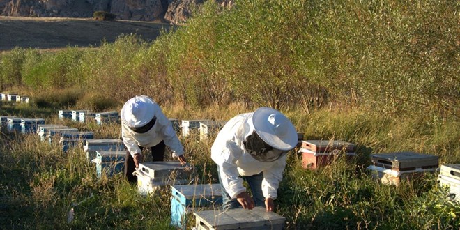 Arclk iin mesleki standart geliyor - Son Dakika Haber