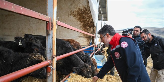 Krmz et retimini artracak projede hayvan teslimleri balad - Son Dakika Haber