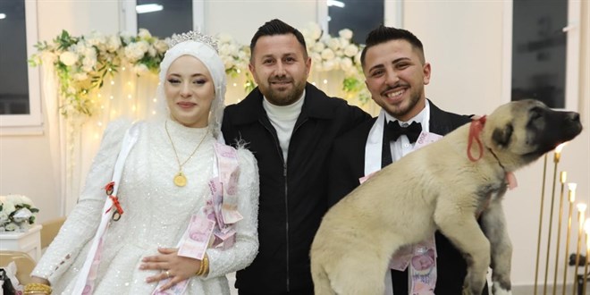 Denizli'de dnde gelin ve damada tak yerine oban kpei hediye edildi - Son Dakika Haber