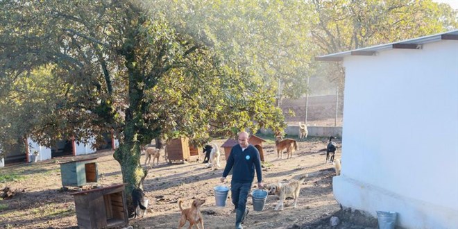 Manisa'da sahiplendii kpekleri terk etti - Son Dakika Haber