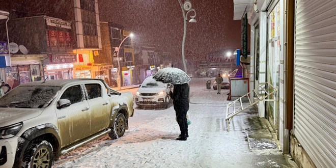 Van'n yksek kesimlerinde kar etkili oldu - Son Dakika Haber