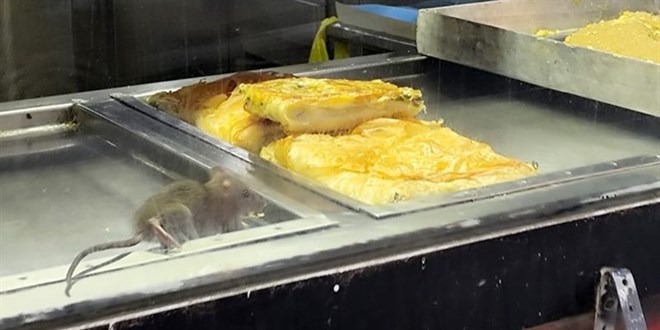 �zmir'de mide buland�ran g�r�nt�: B�rek tezgah�nda fare - Son Dakika Haber