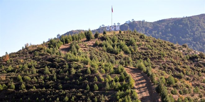 Kara tablo, 6 y�lda ye�il �rt�ye d�n��t�