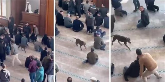 Camiye pitbull girdi! Cemaat zor anlar ya�ad�