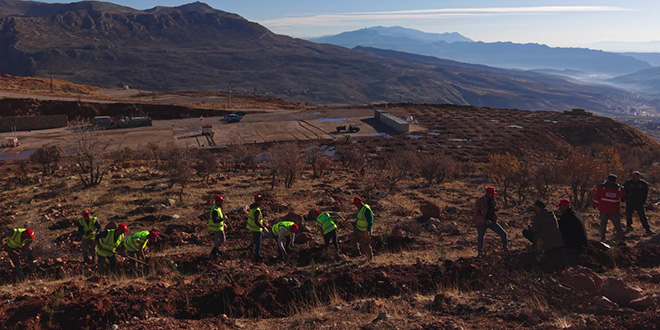 Gabar'da fidan dikim seferberli�i ba�lad�: 100 bin fidan toprakla bulu�acak