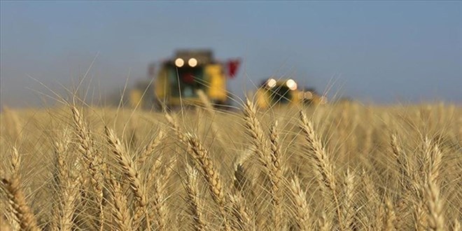 Tar�msal girdi fiyat endeksi ekimde artt�