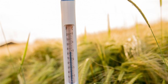 2025'te k�resel s�cakl�klar rekor seviyelere ula�t�