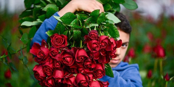 E�ine isimsiz �i�ek g�nderen koca Yarg�tay'dan d�nd�: Tazminat iptal edildi! - Son Dakika Haber