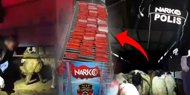 Koyunlar�n karn�na uyu�turucu saklad�lar - Son Dakika Haber