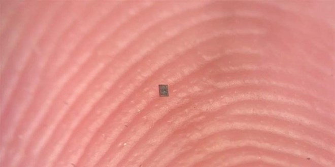 D�nyan�n en k���k robotu �retildi