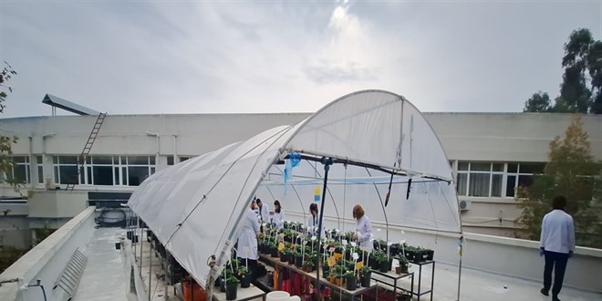 Fak�lte teras� laboratuvar oldu: Ziraat ��rencilerine terasta pratik e�itim!