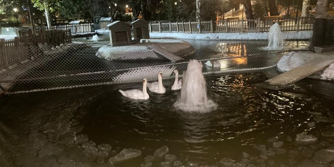 Ankara'da s�cakl�k eksi 11 dereceye d��t�: Ku�ulu Park'taki havuz buz tuttu