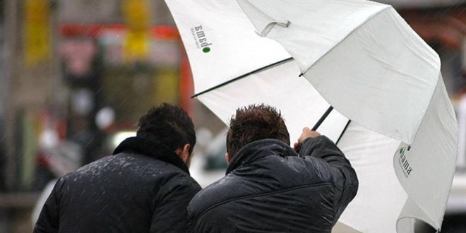 Bursa'da kuvvetli r�zgar: A�a�lar devrildi - Son Dakika Haber