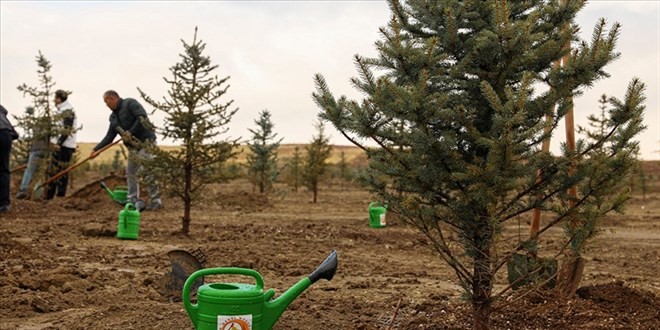 T�rkiye'de ge�en y�l 517 milyon fidan ve tohum toprakla bulu�tu - Son Dakika Haber