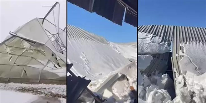 Mardin'de ah�r ��kt�: 10 koyun �ld�