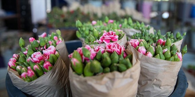 T�rkiye'de en �ok �retilen �i�ekler belli oldu