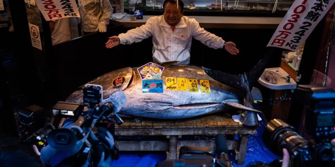 Bu bal�k a��k art�rmada 3,2 milyon dolara sat�ld�